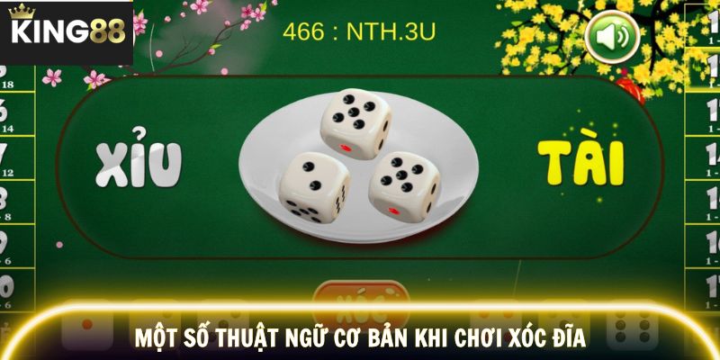 Một số thuật ngữ cơ bản khi chơi xóc đĩa