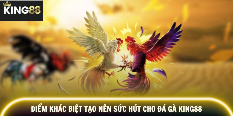 Công nghệ ổn định kết hợp nguồn trận đá gà chất lượng