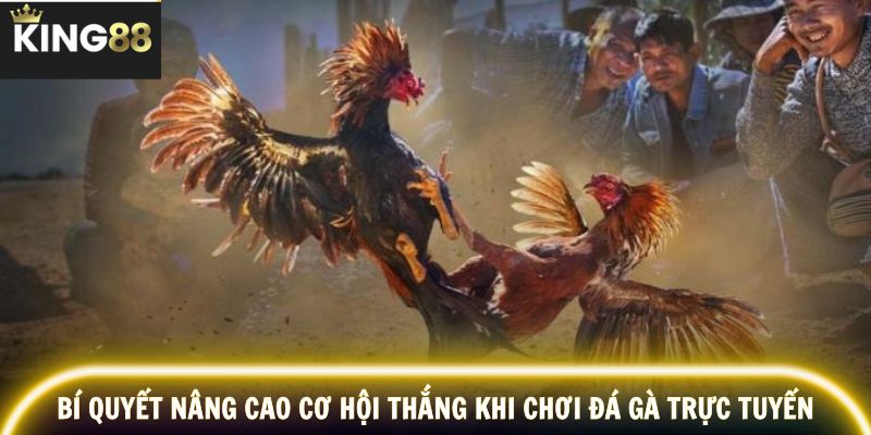 Đa dạng kèo cược phù hợp nhiều phong cách người chơi