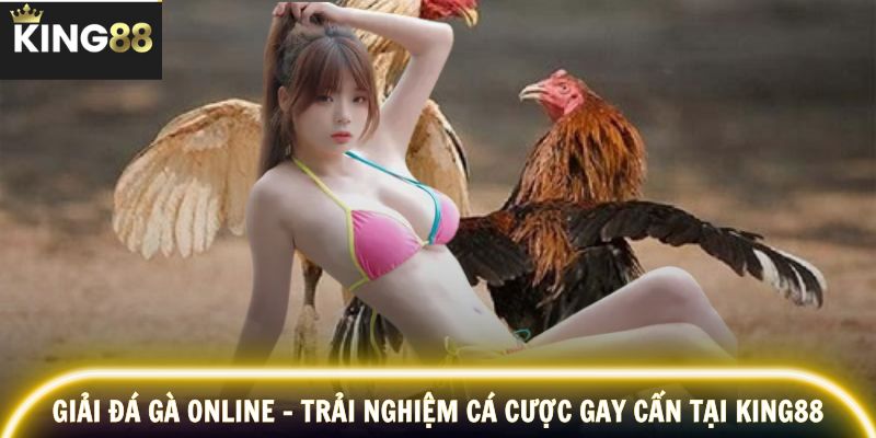 Giải đá gà online