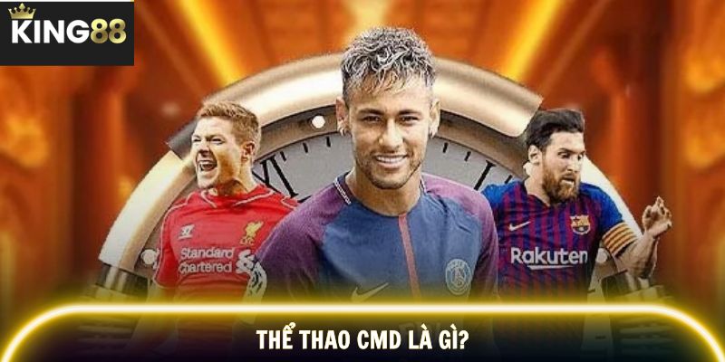 Giới thiệu tổng quan nền tảng cá cược thể thao CMD