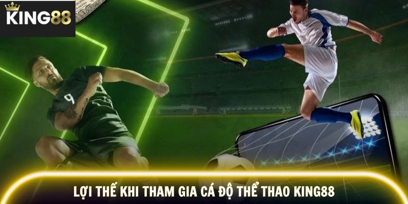 Hệ sinh thái cá độ ổn định, hỗ trợ toàn diện người chơi