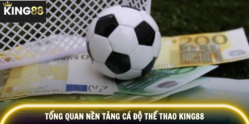 Nền tảng cá độ thể thao hiện đại, tối ưu trải nghiệm người dùng